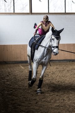 Bild 463 - Voltigierturnier